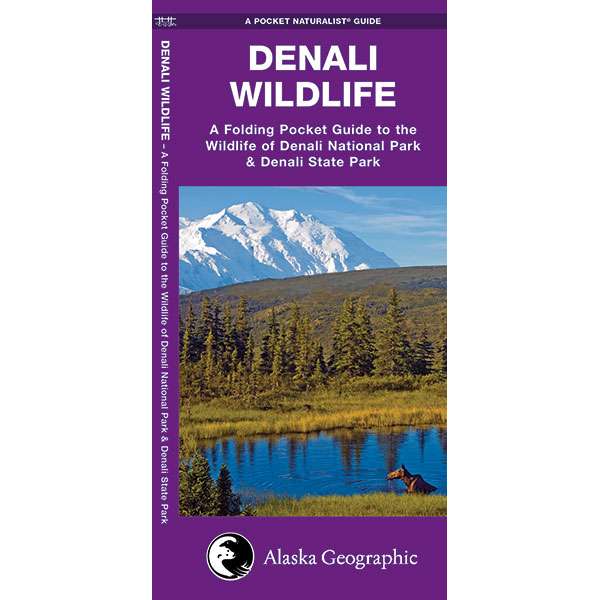 Paradise Clay WFP021 Denali Wildlife - Folding Pocket Guide