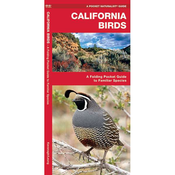 Paradise Clay WFP023 California Birds - Folding Pocket Guide