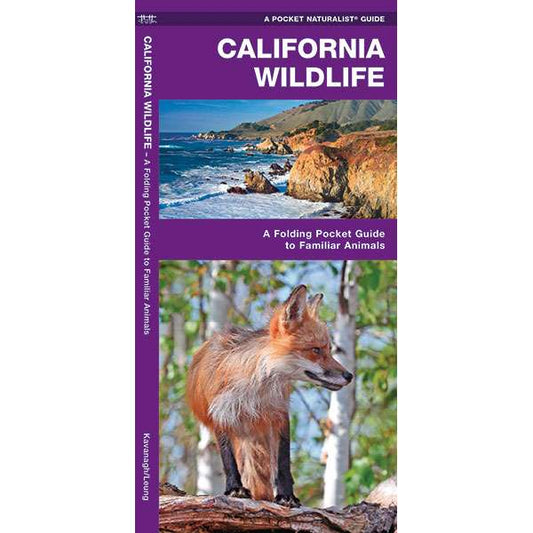 Paradise Clay WFP027 California Wildlife - Folding Pocket Guide
