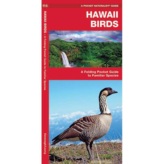 Paradise Clay WFP028 Hawaii Birds - Folding Pocket Guide