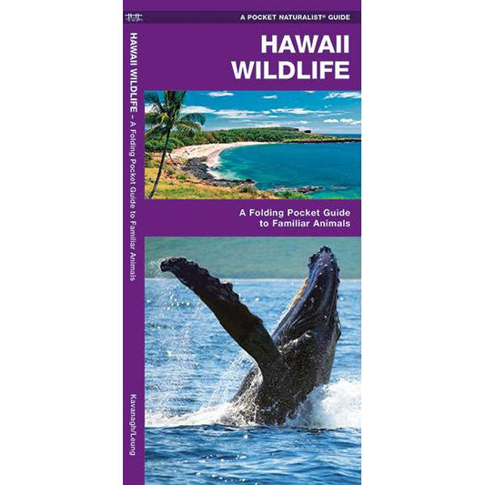 Paradise Clay WFP031 Hawaii Wildlife - Folding Pocket Guide