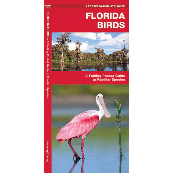 Paradise Clay WFP032 Florida Birds - Folding Pocket Guide