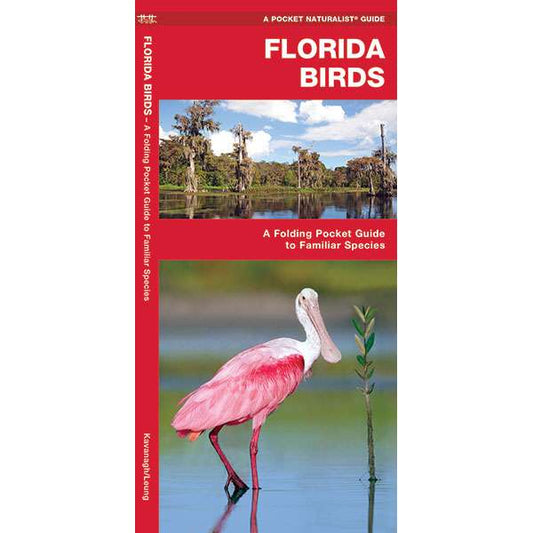 Paradise Clay WFP032 Florida Birds - Folding Pocket Guide
