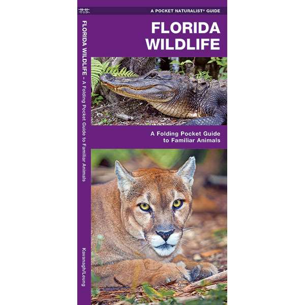 Paradise Clay WFP036 Florida Wildlife - Folding Pocket Guide
