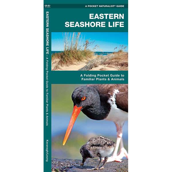 Paradise Clay WFP049 Eastern Seashore Life - Folding Pocket Guide