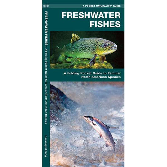 Paradise Clay WFP058 Freshwater Fishes - Folding Pocket Guide