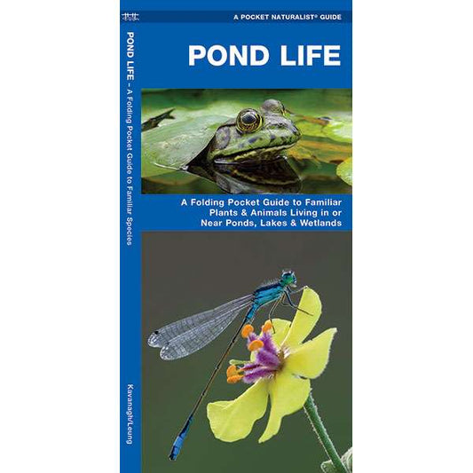 Paradise Clay WFP059 Pond Life - Folding Pocket Guide