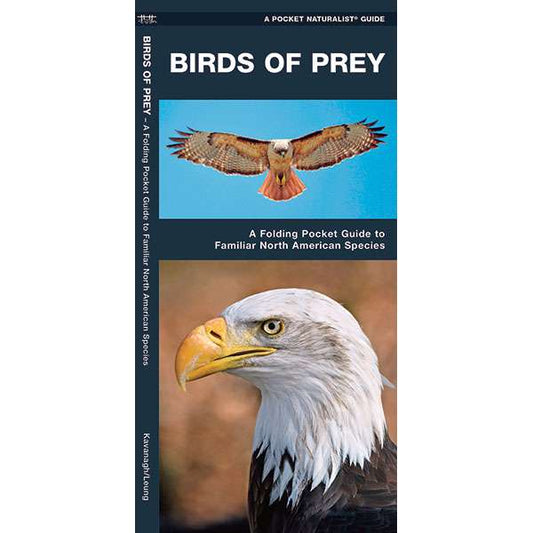 Paradise Clay WFP063 Birds of Prey - Folding Pocket Guide