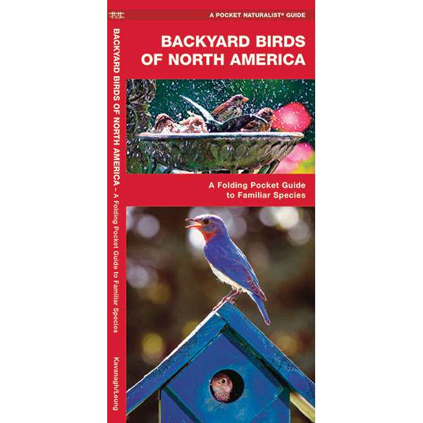 Paradise Clay WFP064 Backyard Birds of North America - Folding Pocket Guide