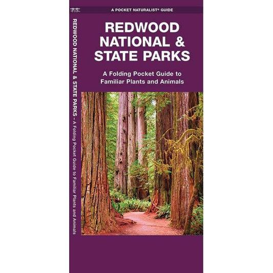 Paradise Clay WFP066 Redwood National & State Parks - Folding Pocket Guide