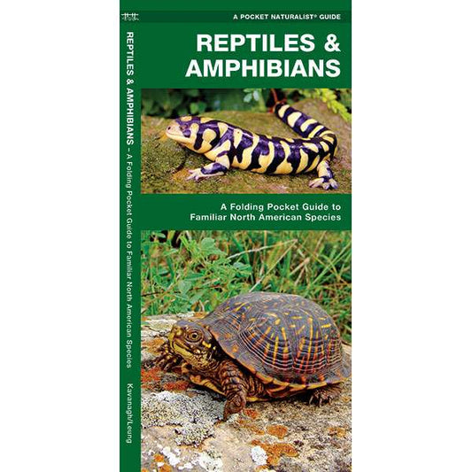 Paradise Clay WFP067 Reptiles & Amphibians - Folding Pocket Guide