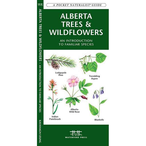 Paradise Clay WFP098 Alberta Trees & Wildflowers - Folding Pocket Guide