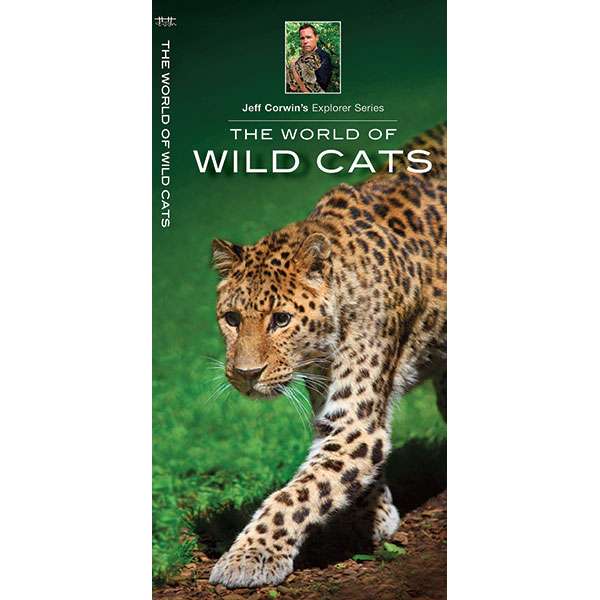 Paradise Clay WFP105 The World of Wild Cats - Folding Pocket Guide