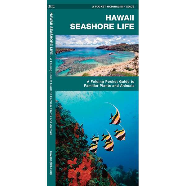 Paradise Clay WFP106 Hawaii Seashore Life - Folding Pocket Guide