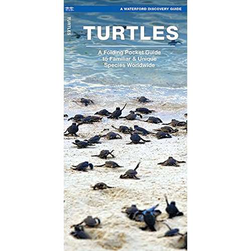 Paradise Clay WFP144 Turtles: A Folding Pocket Guide to the Status of Familiar Species - Folding Pocket Guide