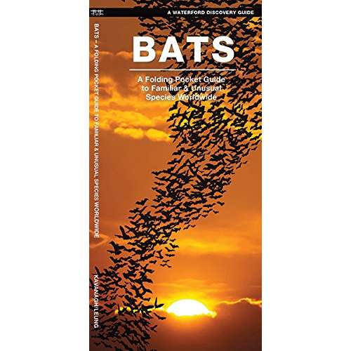 Paradise Clay WFP146 Bats: A Folding Pocket Guide to the Status of Familiar Species - Folding Pocket Guide