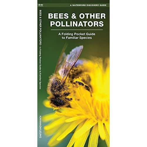 Paradise Clay WFP147 Bees & Other Pollinators: A Folding Pocket Guide to the Status of Familiar Species - Folding Pocket Guide