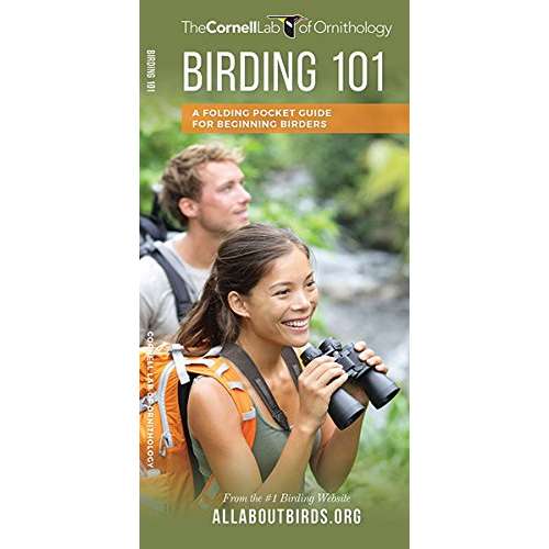 Paradise Clay WFP149 Birding 101: A Folding Pocket Guide for Beginning Birders - Folding Pocket Guide