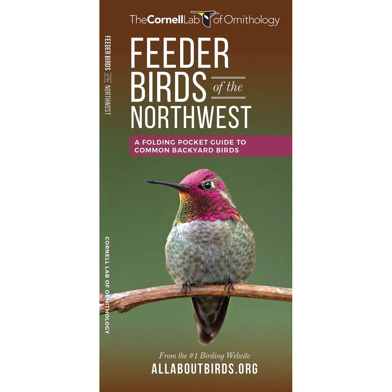 Paradise Clay WFP154 Feeder Birds of the Northwest - Folding Pocket Guide