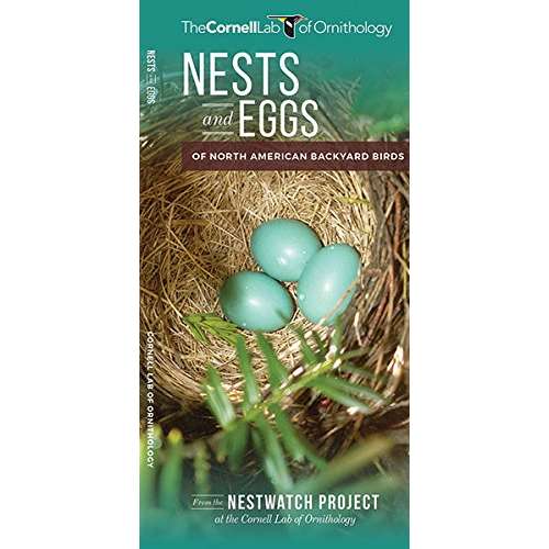 Paradise Clay WFP157 Nests and Eggs of North American Backyard Birds - Folding Pocket Guide