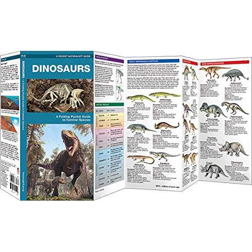 Paradise Clay WFP181 Dinosaurs: A Folding Pocket Guide to Familiar Species - Folding Pocket Guide