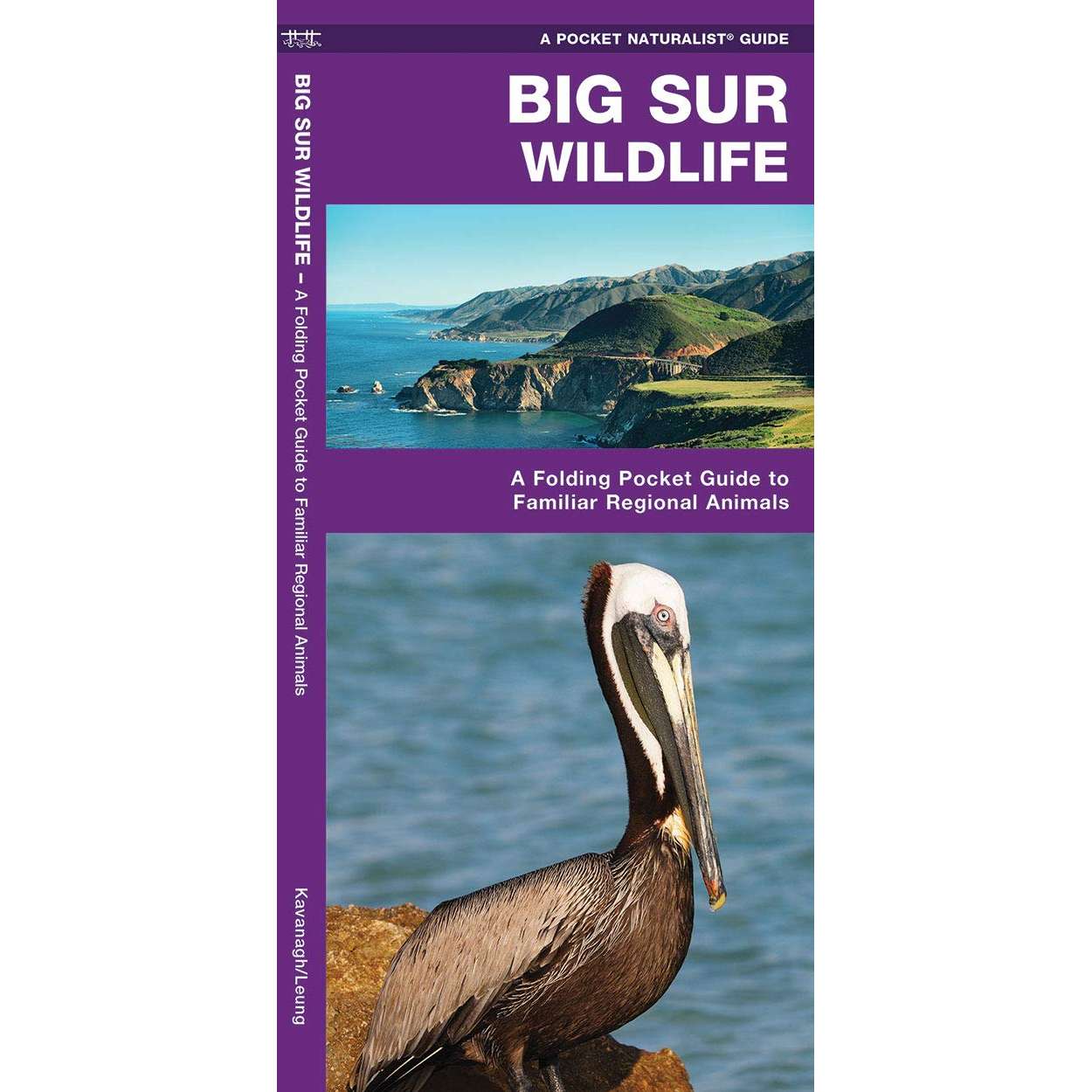 Paradise Clay WFP189 Big Sur Wildlife: A Folding Pocket Guide to Familiar Regional Animals - Folding Pocket Guide