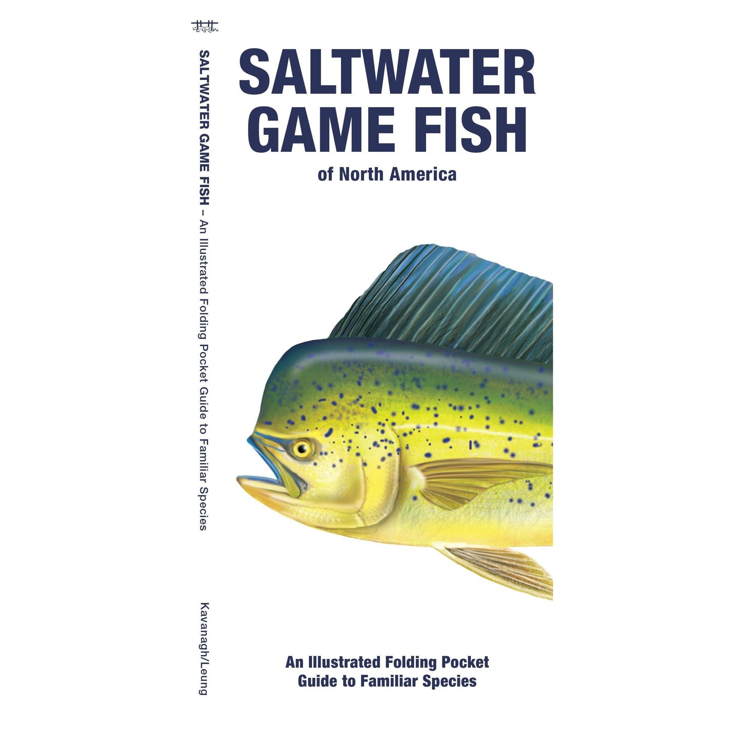 Paradise Clay WFP191 Saltwater Game Fish of North America - Folding Pocket Guide