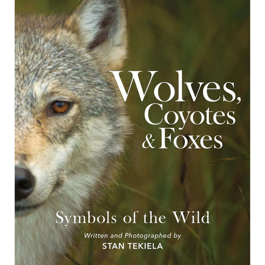 Paradise Clay AVK137 Wolves, Coyotes and Foxes - Symbols of the Wild - Book