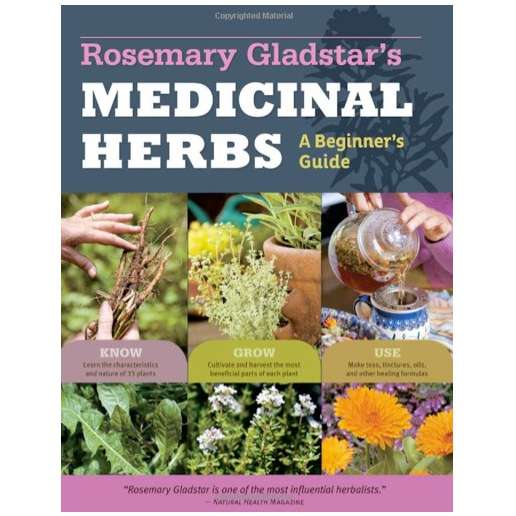 Paradise Clay WPC025 Rosemary Gladstar's Medicinal Herbs: A Beginner's Guide - Book