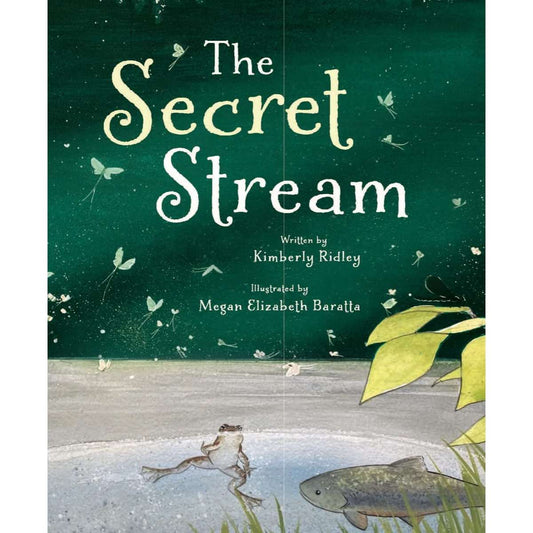 Paradise Clay WWN856 The Secret Stream - Book